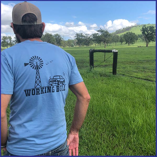 Outback Mens Tee - Carolina Blue